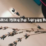 Aaj Unse Milna Hai Sargam Notes