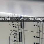 Aane Wala Pal Jane Wala Hai Sargam Notes
