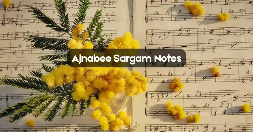 Ajnabee Sargam Notes