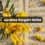 Ajnabee Sargam Notes