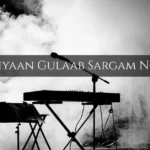 Akhiyaan Gulaab Sargam Notes