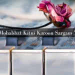 Aur Mohabbat Kitni Karoon Sargam Notes