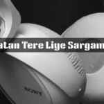 Aye Watan Tere Liye Sargam Notes