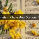Bahon Mein Chale Aao Sargam Notes