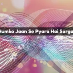 Bharat Humko Jaan Se Pyara Hai Sargam Notes