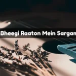 Bheegi Bheegi Raaton Mein Sargam Notes