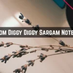 Bom Diggy Diggy Sargam Notes