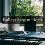 Bulleya Sargam Notes