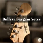 Bulleya Sultan Sargam Notes