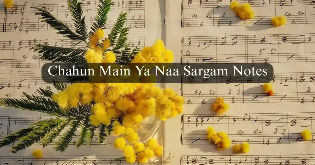 Chahun Main Ya Naa Sargam Notes