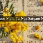 Chahun Main Ya Naa Sargam Notes