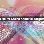 Chehra Hai Ya Chand Khila Hai Sargam Notes