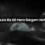 Chura Ke Dil Mera Sargam Notes