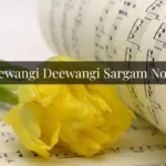 Deewangi Deewangi Sargam Notes