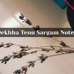 Dekhha Tenu Sargam Notes