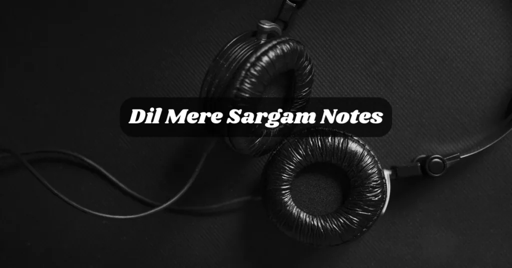 Dil Mere Sargam Notes