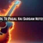 Dil To Pagal Hai Sargam Notes