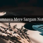 Humnava Mere Sargam Notes
