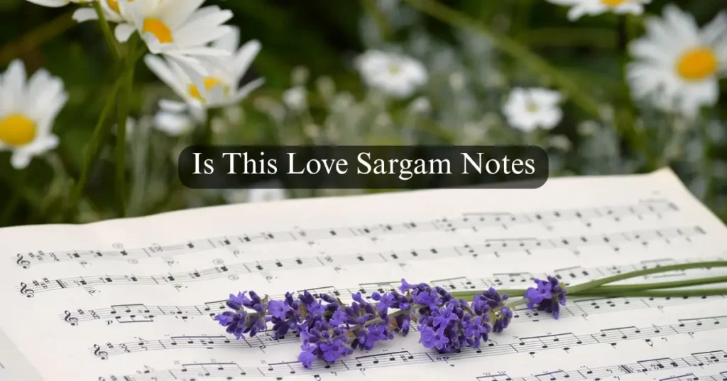 Is This Love Sargam Notes
