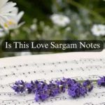 Is This Love Sargam Notes