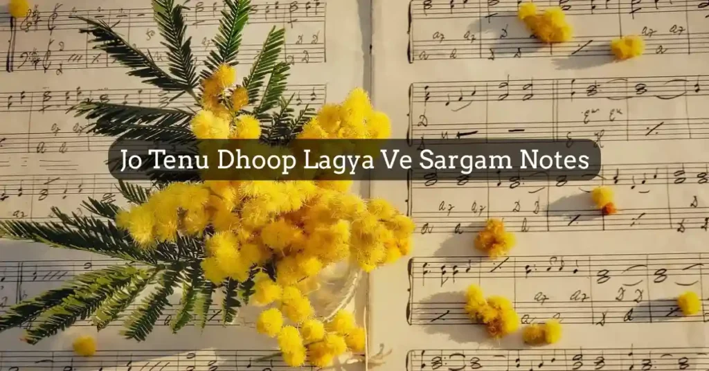 Jo Tenu Dhoop Lagya Ve Sargam Notes