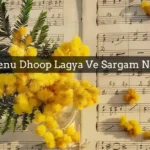 Jo Tenu Dhoop Lagya Ve Sargam Notes