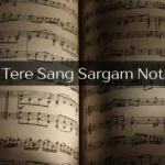 Jo Tere Sang Sargam Notes