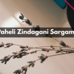 Kaisi Paheli Zindagani Sargam Notes