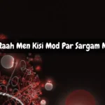 Kisi Raah Men Kisi Mod Par Sargam Notes