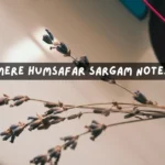 Mere Humsafar Sargam Notes