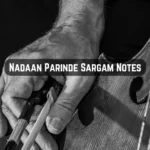 Nadaan Parinde Sargam Notes