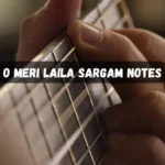 O Meri Laila Sargam Notes