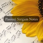 Pasoori Sargam Notes