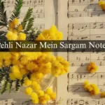 Pehli Nazar Mein Sargam Notes