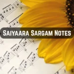 Saiyaara Ek Tha Tiger Sargam Notes