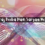 Sooraj Dooba Hain Sargam Notes