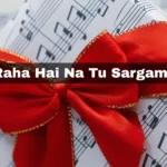 Sunn Raha Hai Na Tu Sargam Notes