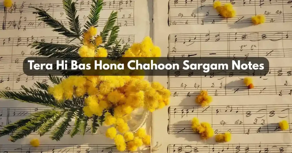 Tera Hi Bas Hona Chahoon Sargam Notes