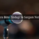 Tere Bina Zindagi Se Sargam Notes