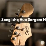 Tere Sang Ishq Hua Sargam Notes