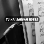 Tu Hai Darshan Raval Sargam Notes