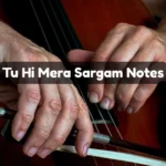 Tu Hi Mera Sargam Notes