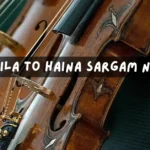 Tu Mila To Haina Sargam Notes