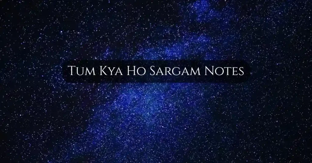 Tum Kya Ho Sargam Notes