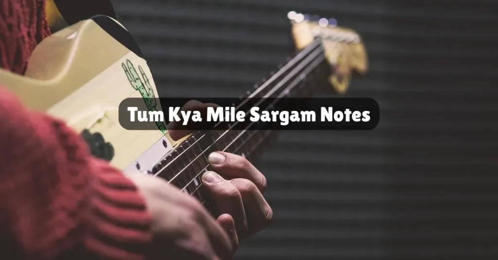 Tum Kya Mile Sargam Notes