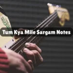 Tum Kya Mile Sargam Notes