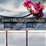Tum Mile Sargam Notes