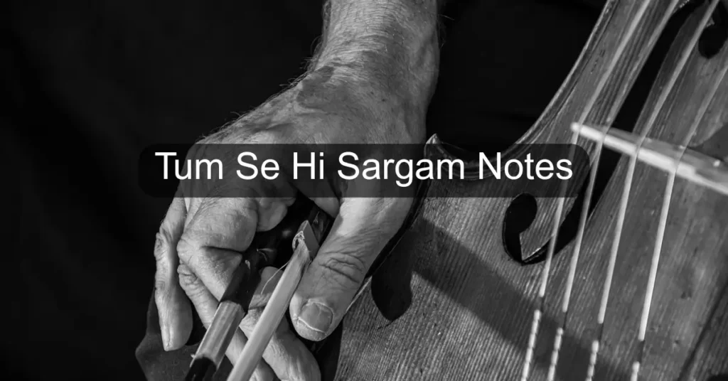 Tum Se Hi Sargam Notes