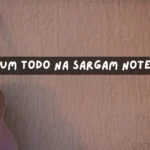 Tum Todo Na Sargam Notes