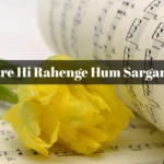 Tumhare Hi Rahenge Hum Sargam Notes